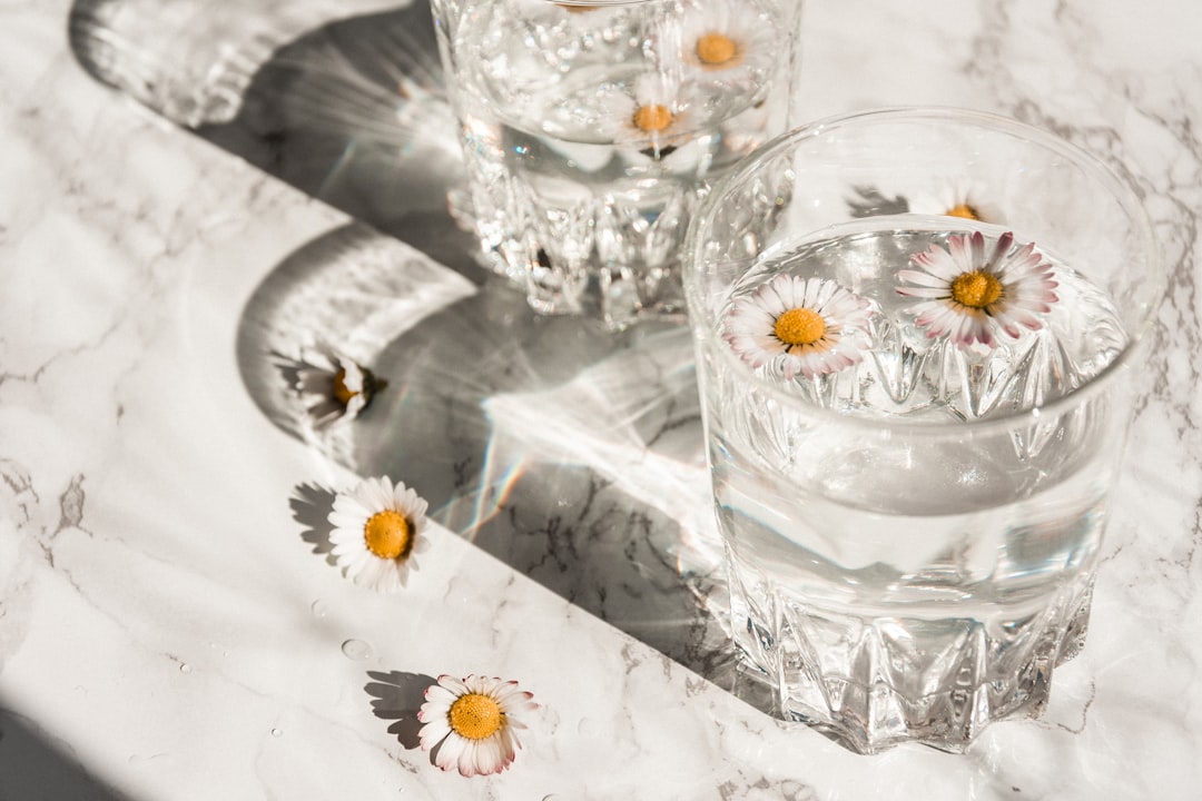 Collagen Supplements NZ — Do They Actually Work? Here Is What We Know