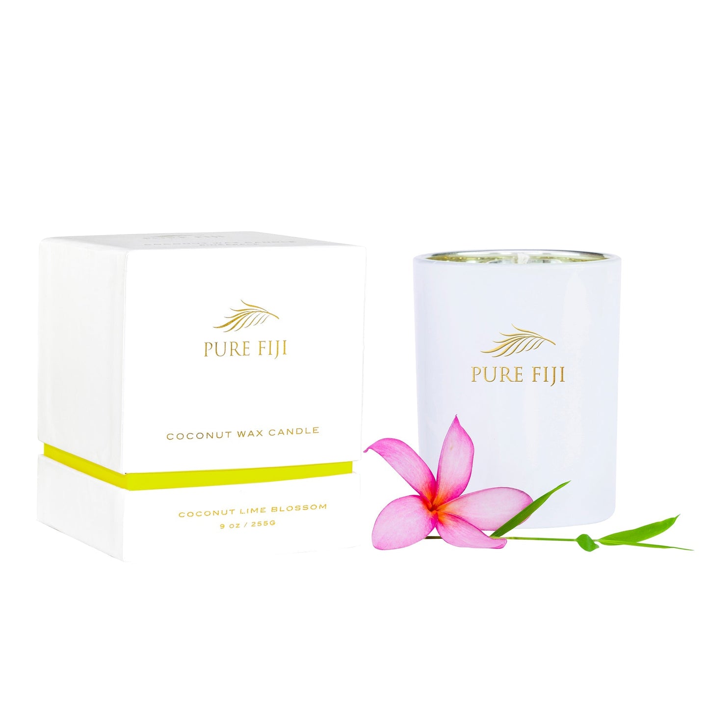 Pure Fiji Coconut Wax Candle (9oz/255ml)