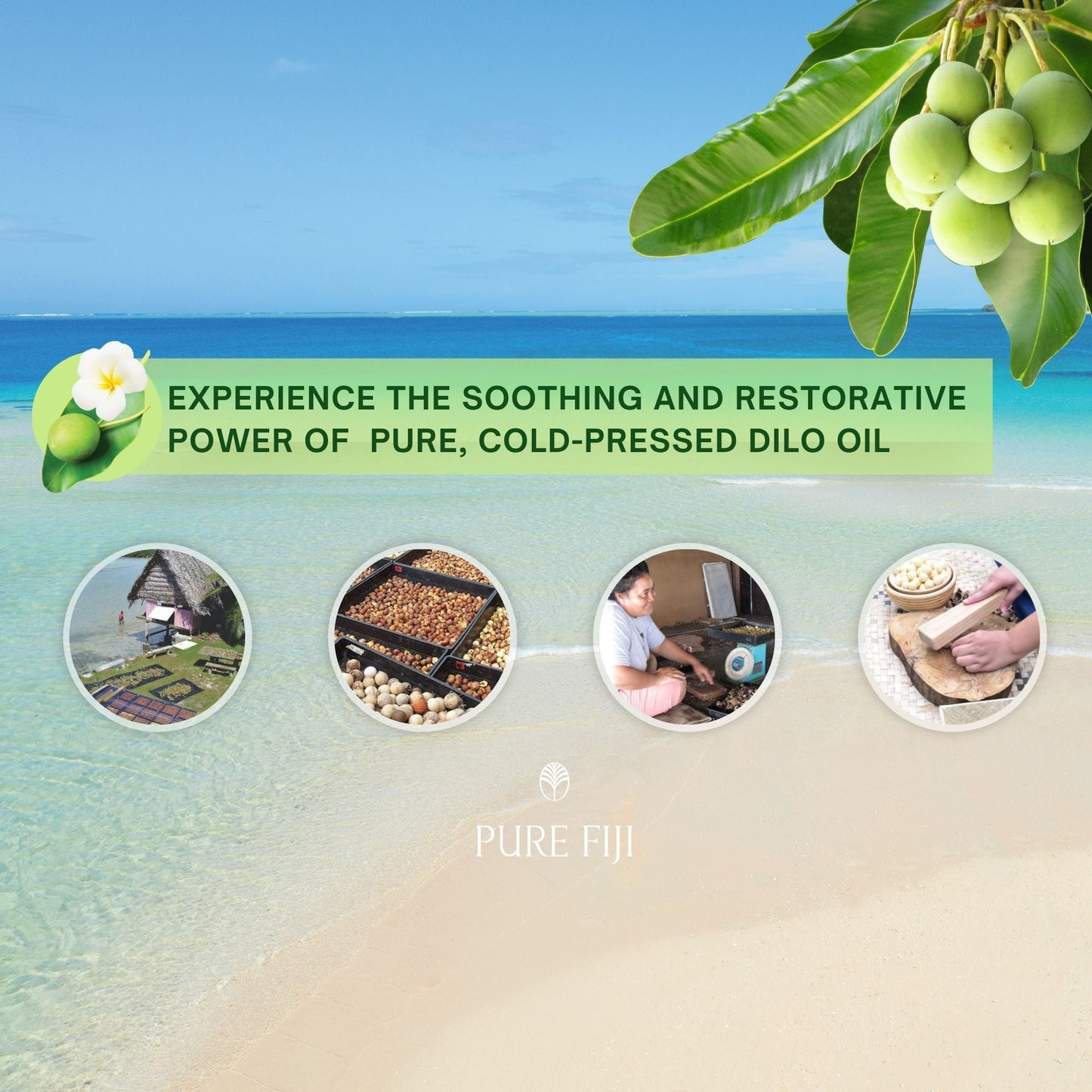 Pure Fiji Dilo Restorative Body Gel (3oz/90ml)